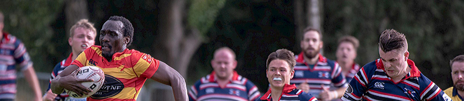Good home win for West 1st XV