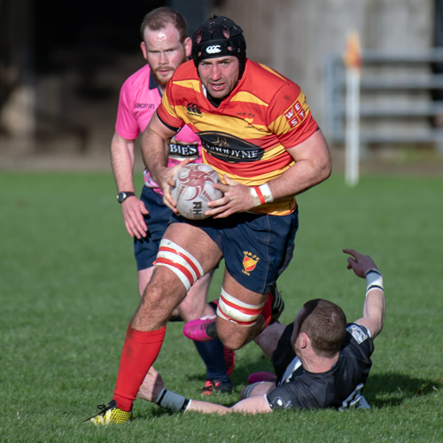 1st and 2nd XVs have good wins