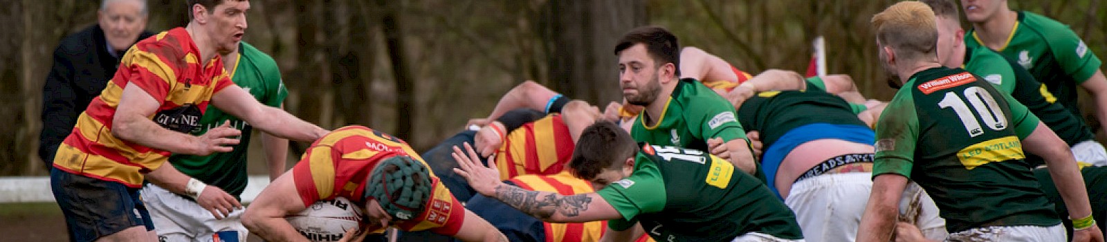 West home bonus point against Caithness