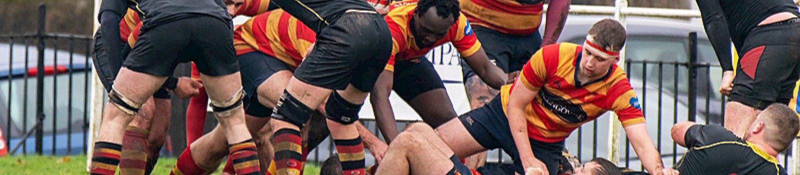 West 1st XV back to joint top