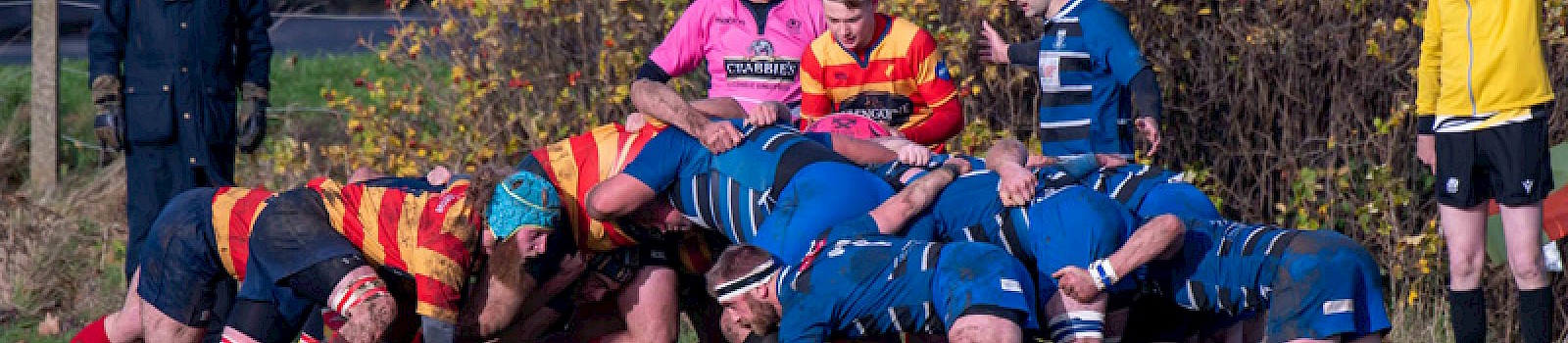 West gain a bonus point win at Ardrossan
